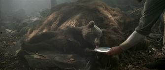 子熊故事花絮,花絮中的温馨瞬间